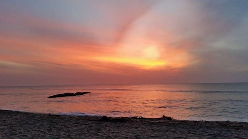 Surf Bay Resort Arugam Bay Dış mekan fotoğraf